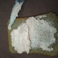 Икра деликатесная