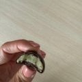 Отзыв о Шоколадная лаборатория Елены Овсянниковой: Не только для мужчин!