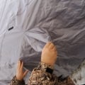 О качестве продукции