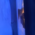 Обман. Чехлы не выполняют заявленные функции.