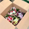 заказ букетов