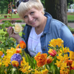 ilopatnikova