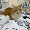 Огромная благодарность