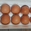 Отзыв о Пятерочка приложение: Привезли доставку. Качество ужасное. Обратной связи нет.