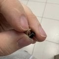 Отзыв о DEVICE SHOP: Очень подвели