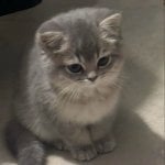 Полина Федорова